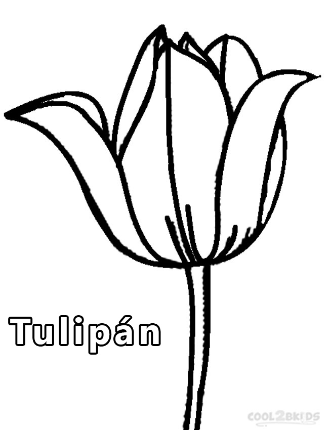  Dibujo de Tulipanes para colorear