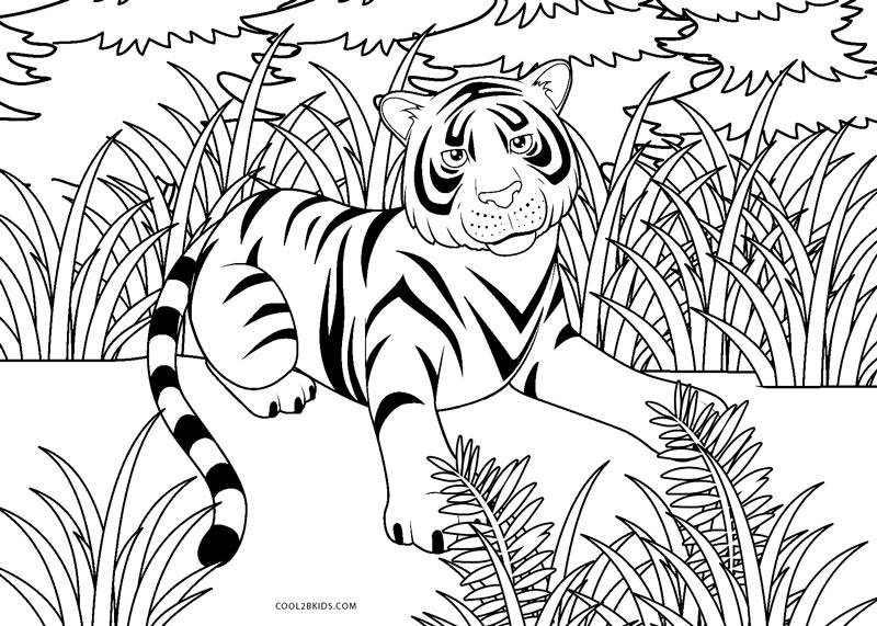 Dibujos de Tigre para colorear - Páginas para imprimir gratis
