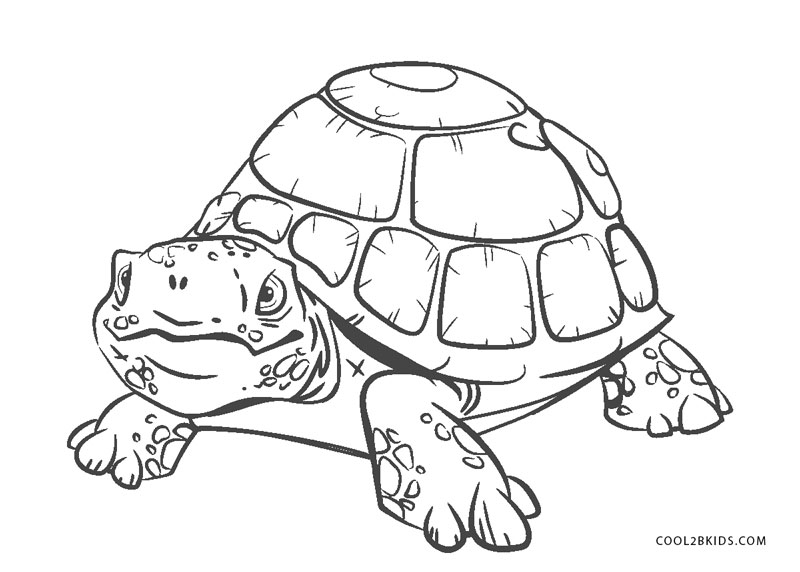 Dibujos de tortugas para imprimir y colorear