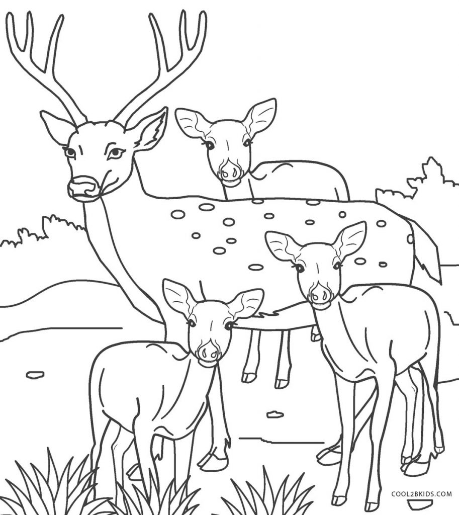 Free Printable Deer Coloring Pages For Kids - Cool2bKids