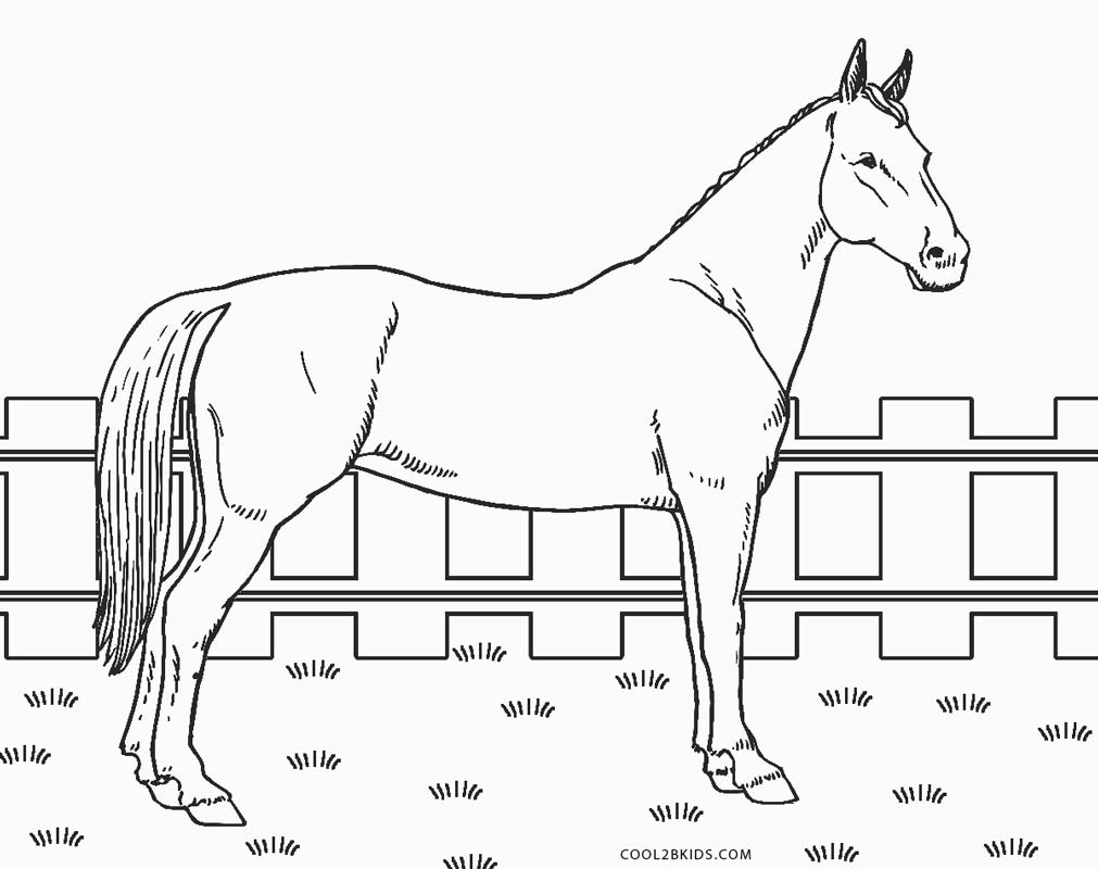 Desenho de Cavalo fofo para colorir  Desenhos para colorir e imprimir  gratis