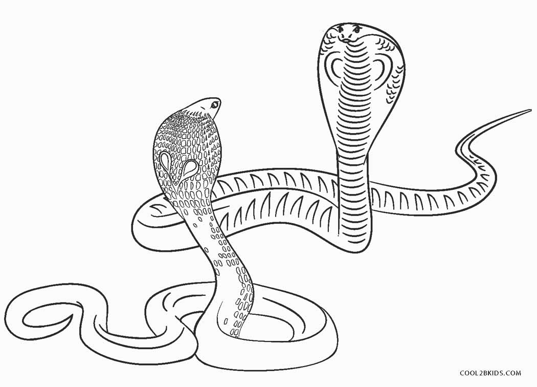 Featured image of post Desenho De Cobra Para Colorir E Imprimir O colorindo org estar aqui para te ajudar sempre que precisar de desenhos para pintar