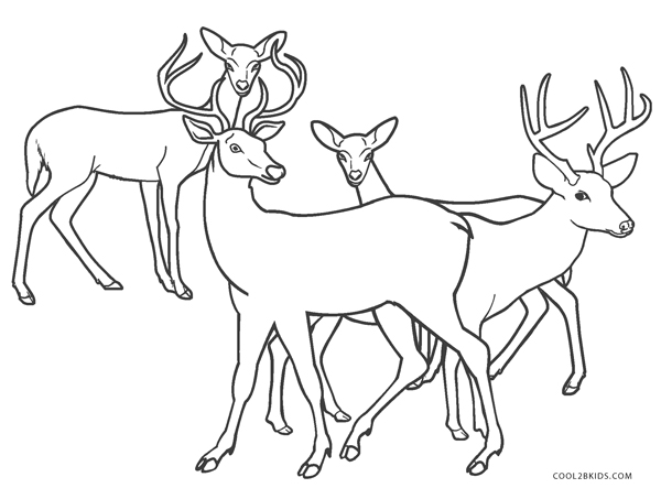 Free Printable Deer Coloring Pages For Kids - Cool2bKids