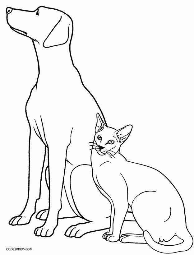 Desenho de Cão e gato para colorir