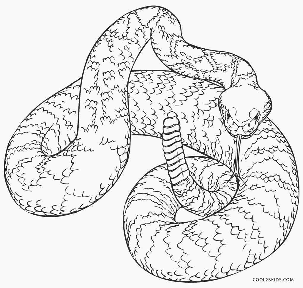 Desenhos de Cobra para colorir Páginas para impressão grátis