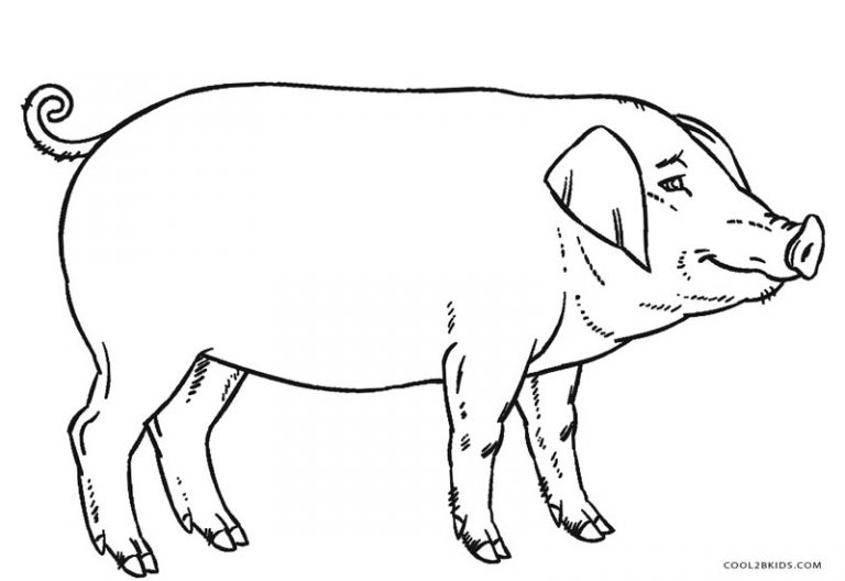 Desenhos de Porco para colorir Páginas para impressão grátis