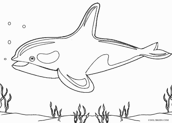 Desenhos para colorir de desenho de uma grande baleia para colorir online  