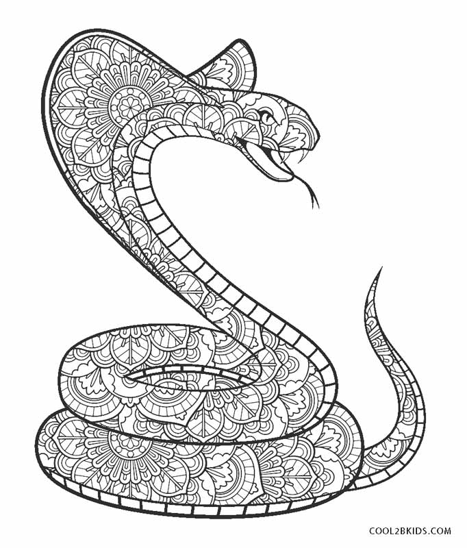 Desenhos de Cobra para Colorir, Pintar e Imprimir 