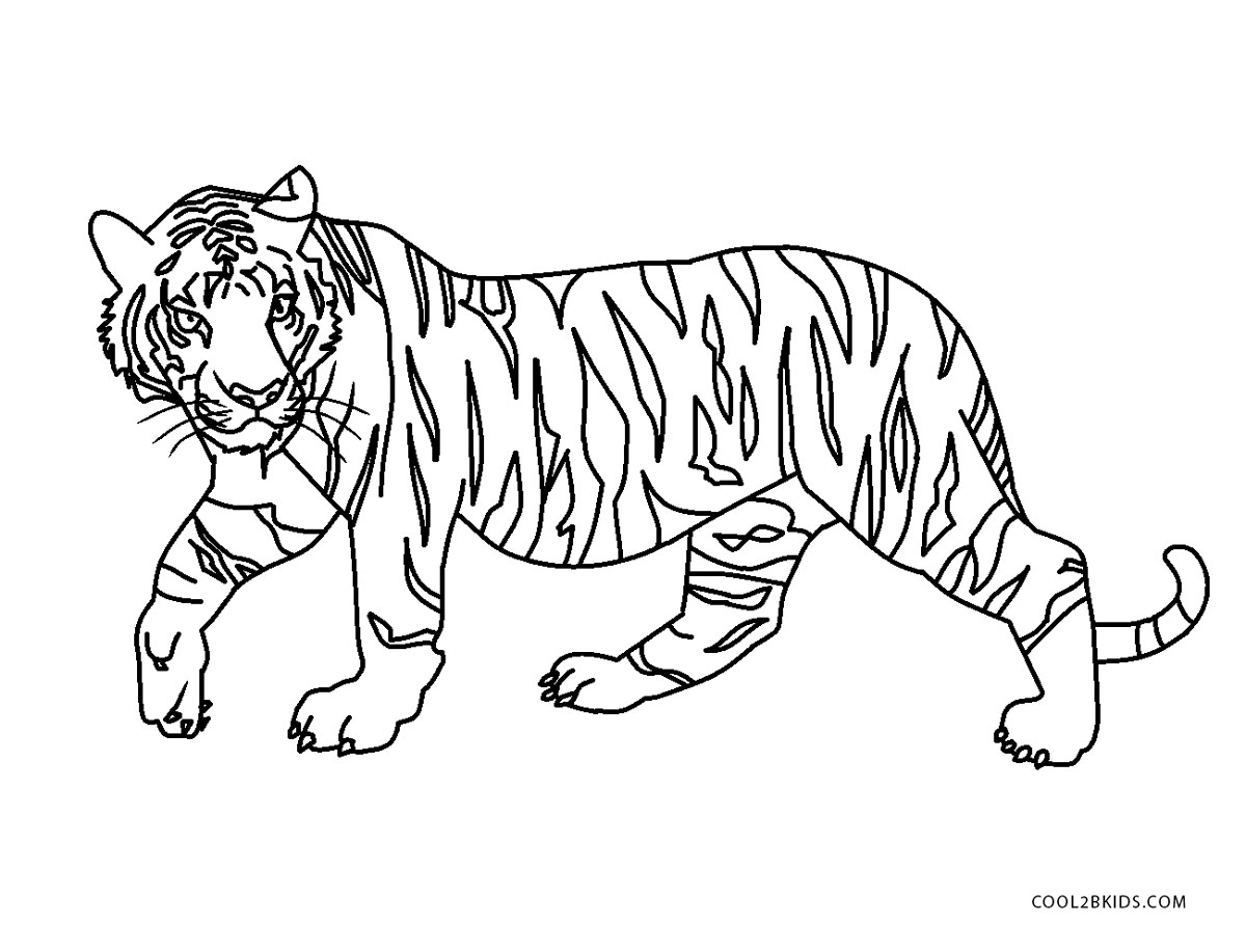 Desenho de Tigre de Natal para Colorir - Colorir.com