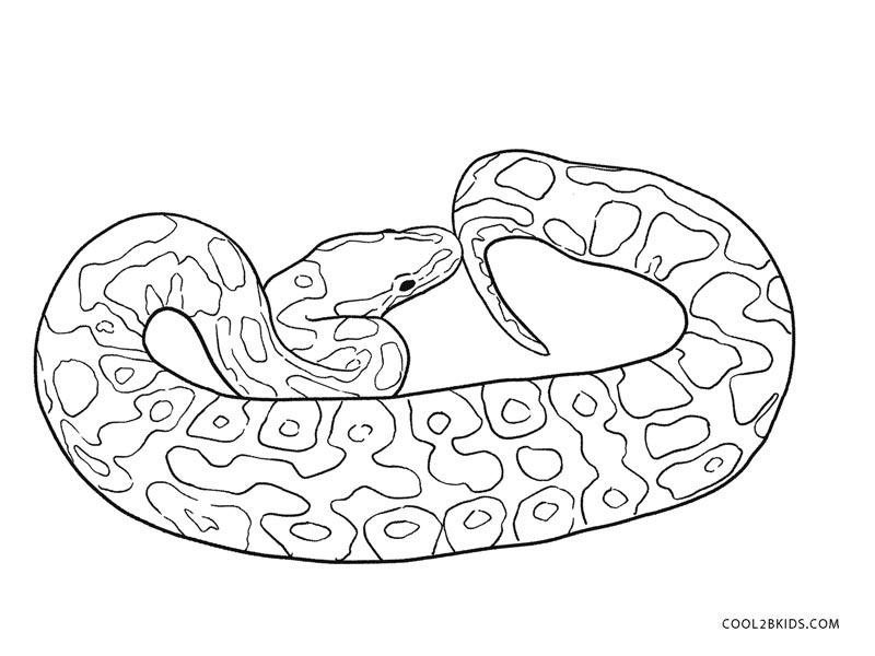 Desenho de Cobra para colorir  Desenhos para colorir e imprimir gratis