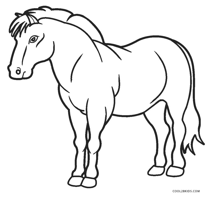 Desenhos para colorir de cavalo e cavalo de sela - Desenhos para colorir  gratuitos para imprimir