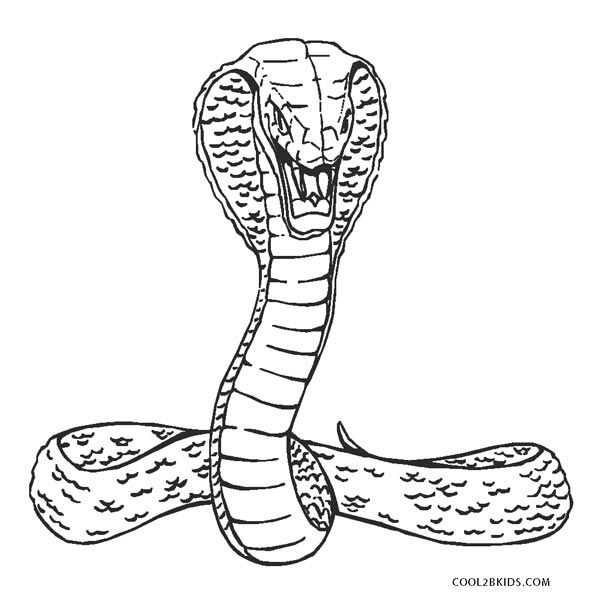 Desenhos para colorir – Cobra