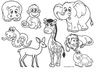 free printable zoo coloring pages for kids