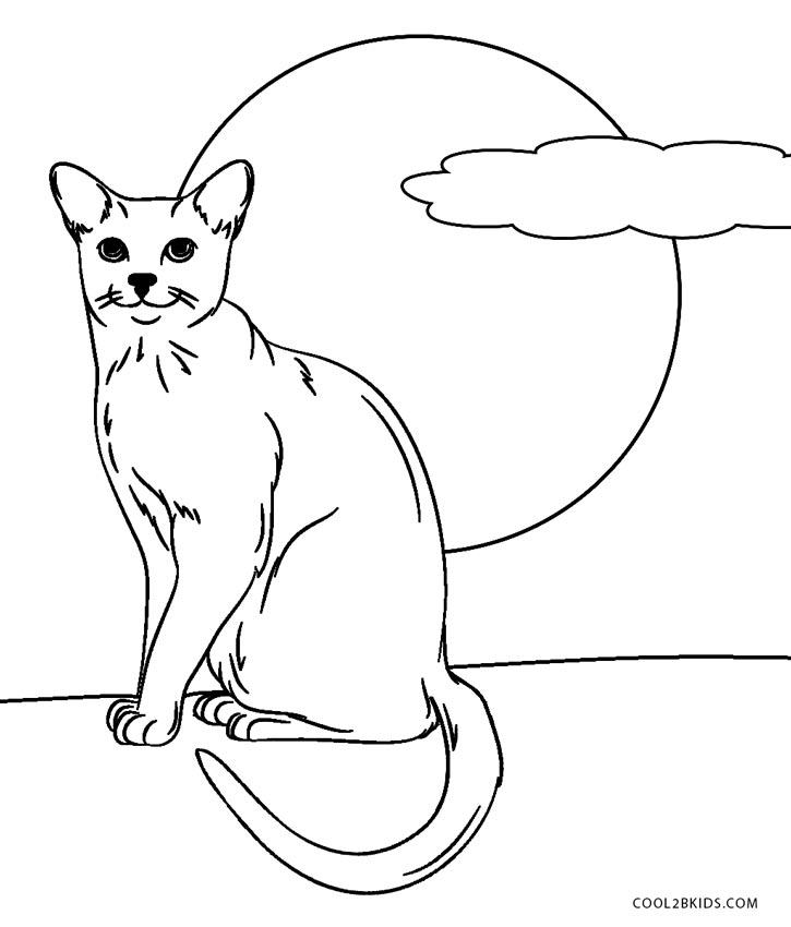 Desenho De Páginas Para Colorir Gato Dos Desenhos Animados