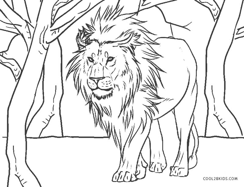 desenho de leão para colorir página 17544243 Vetor no Vecteezy