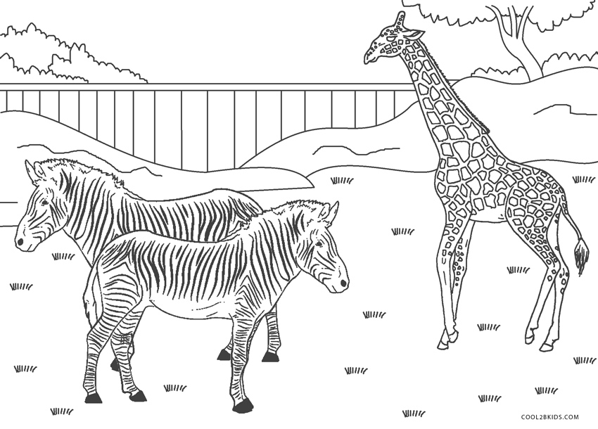 printable coloring pages of zoo animal