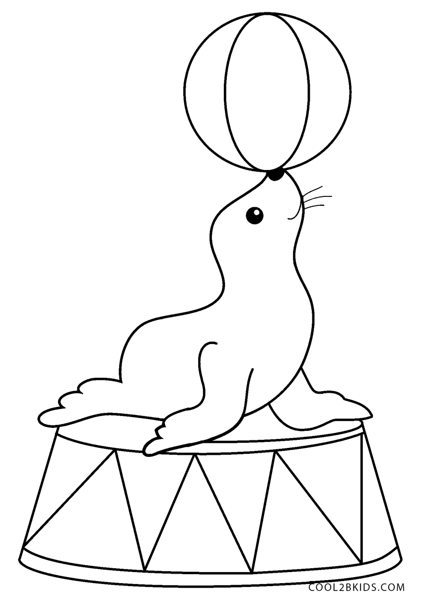 33 best ideas for coloring | Circus Seal Coloring Page