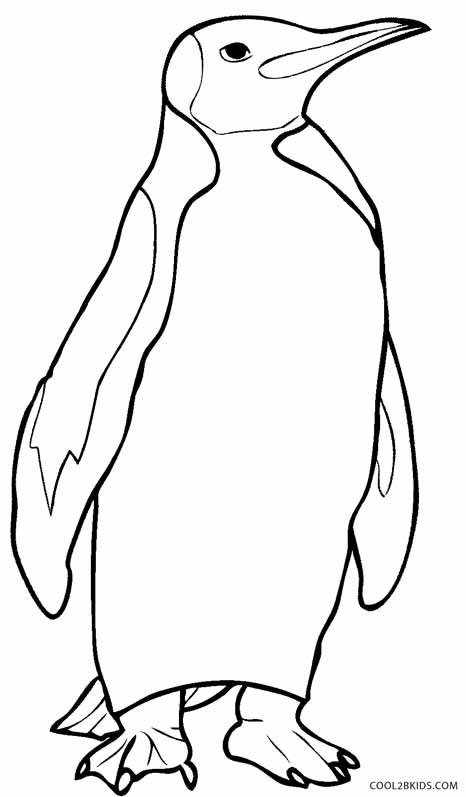 Desenhos de Pinguim para colorir - Páginas para impressão grátis