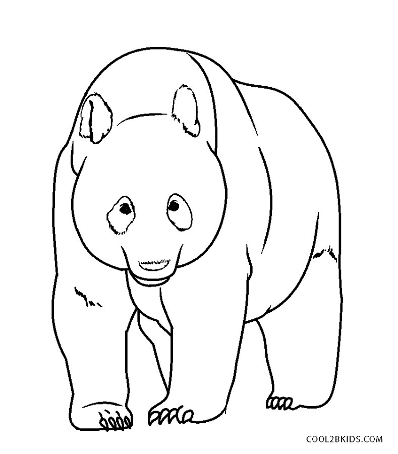 Desenhos de Panda para colorir - Páginas para impressão grátis