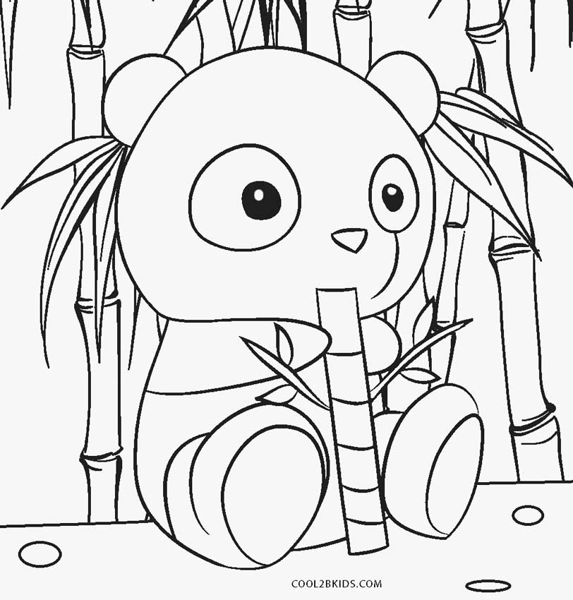 Desenho de Panda para colorir  Desenhos para colorir e imprimir gratis