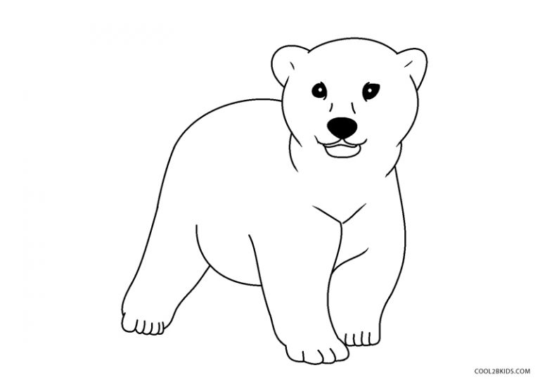 Free Printable Bear Coloring Pages For Kids