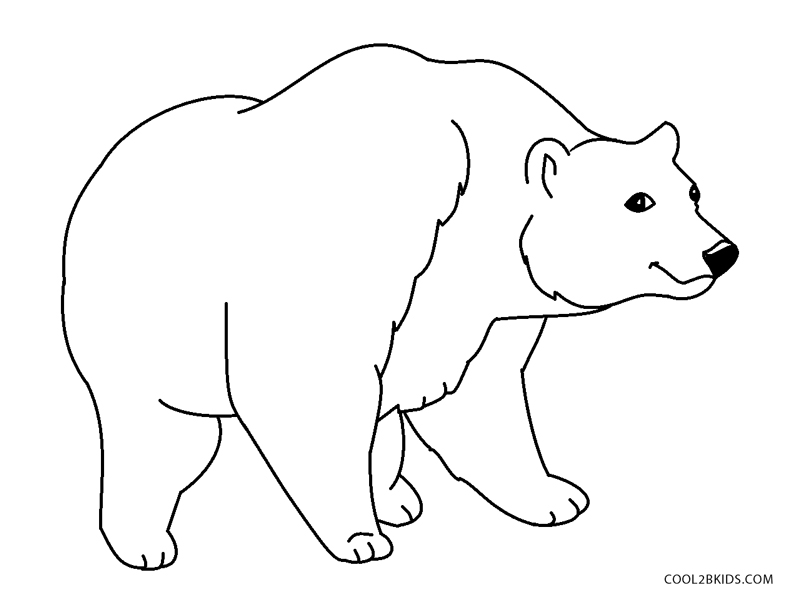 Free Printable Bear Coloring Pages For Kids