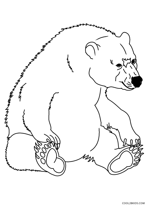 50 DESENHOS DE URSOS URSO PARA COLORIR PINTAR IMPRIMIR  Bear coloring  pages, Birthday coloring pages, Mermaid coloring pages