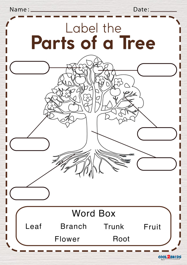 parts-of-a-flower-preschool-worksheet