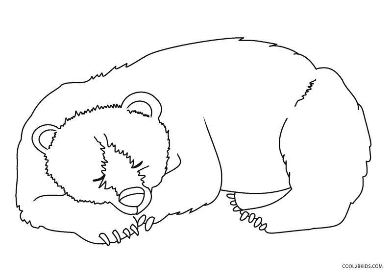 Sleeping Bear Template Printable Printable World Holiday