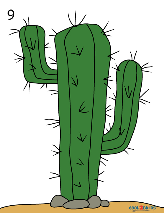 Como Dibujar un Cactus - Cool2bKids