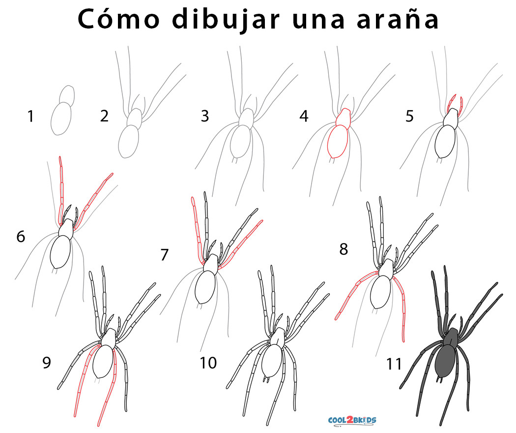 Cómo dibujar una araña (imágenes paso a paso)