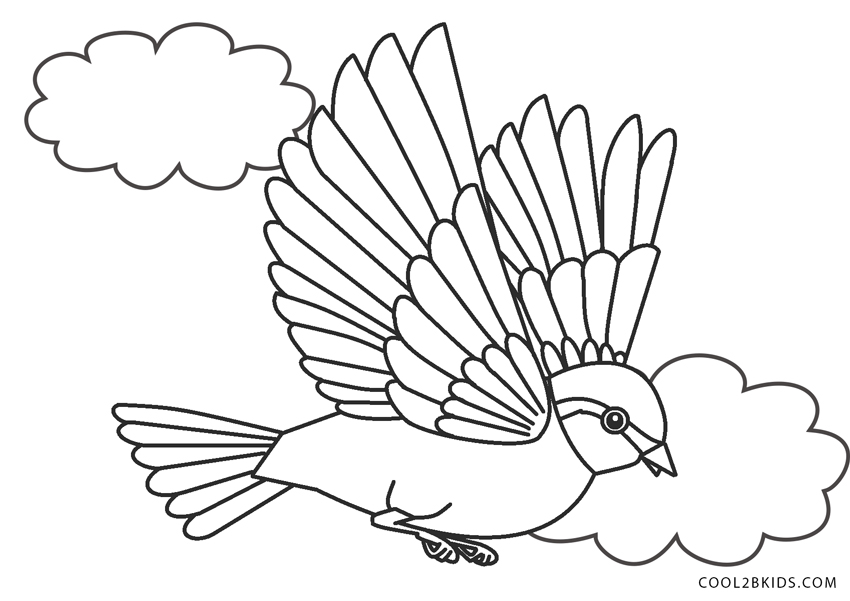 10 Adorable Flying Bird Coloring Pages to Download and Unleash Your Creativity