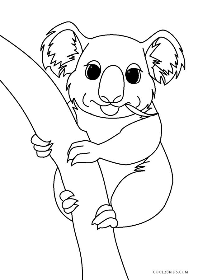 Printable Koala Coloring Pages Printable World Holiday
