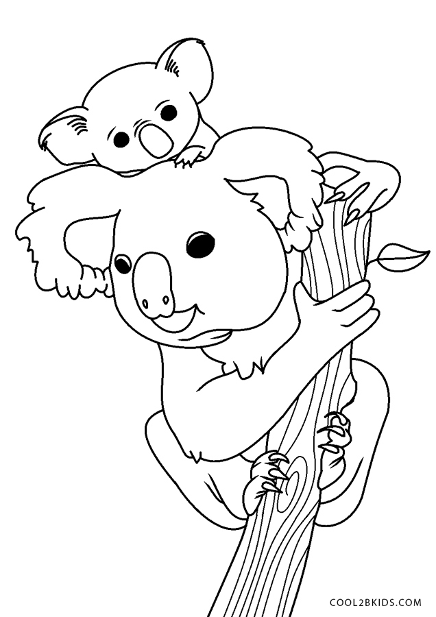 free printable koala coloring pages for kids