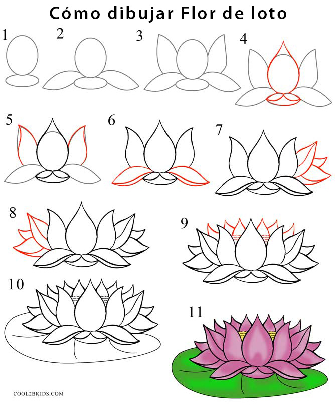Flor de loto para dibujar - Cool2bKids