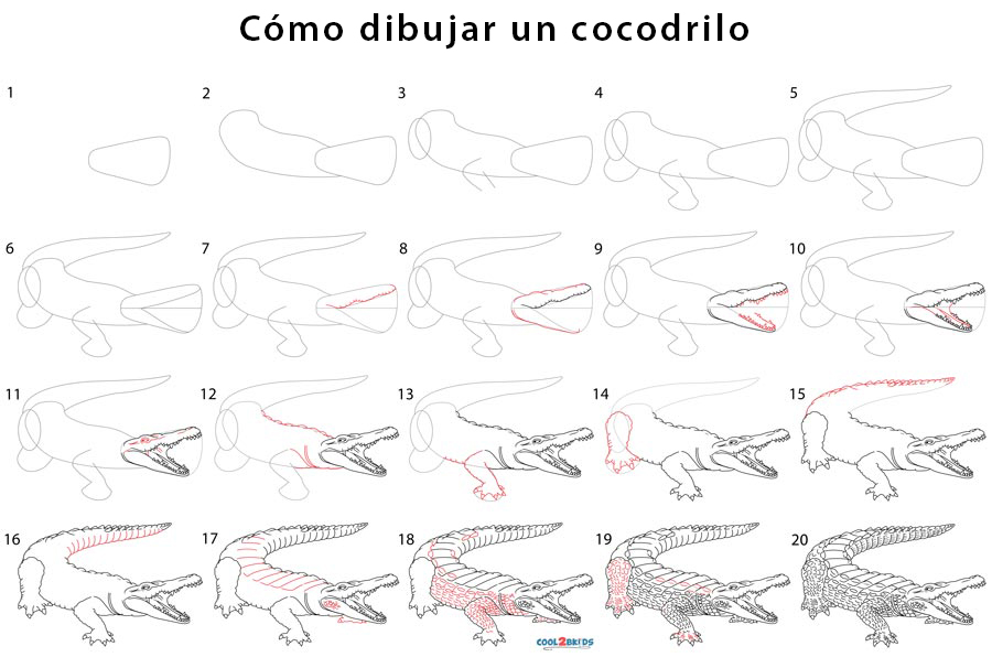 Cocodrilo para dibujar - Cool2bKids Cocodrilo para dibujar - Cool2bKids
