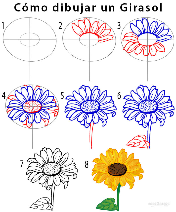 Girasol para dibujar - Cool2bKids