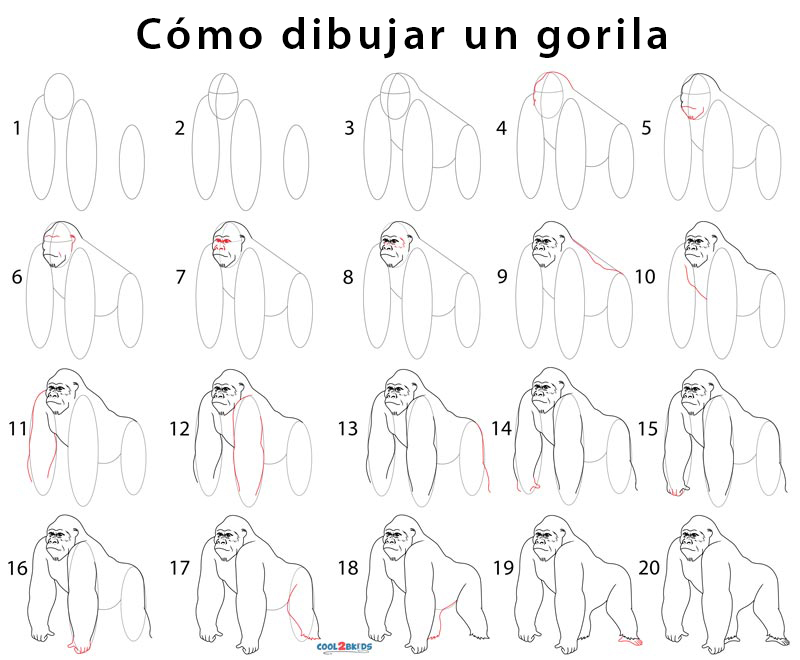 Gorila para dibujar - Cool2bKids