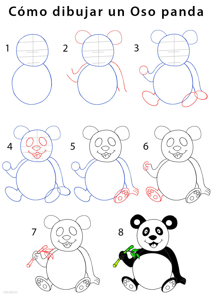 Oso panda para dibujar - Cool2bKids