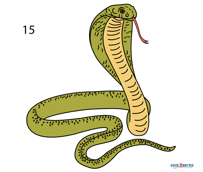 Serpiente para dibujar - Cool2bKids