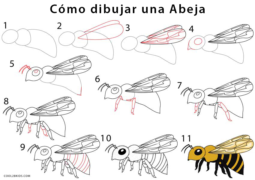 Abeja para dibujar - Cool2bKids