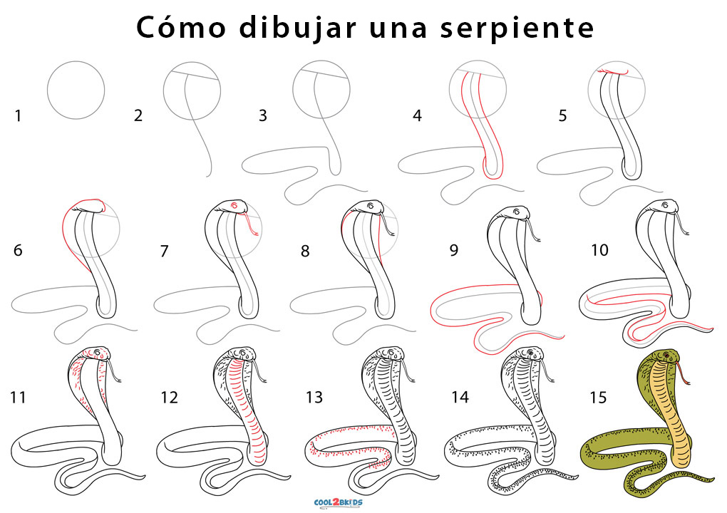 Serpiente para dibujar - Cool2bKids