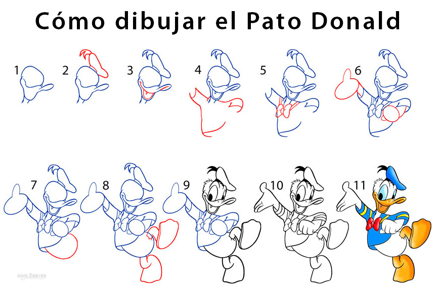 Draw неправильный