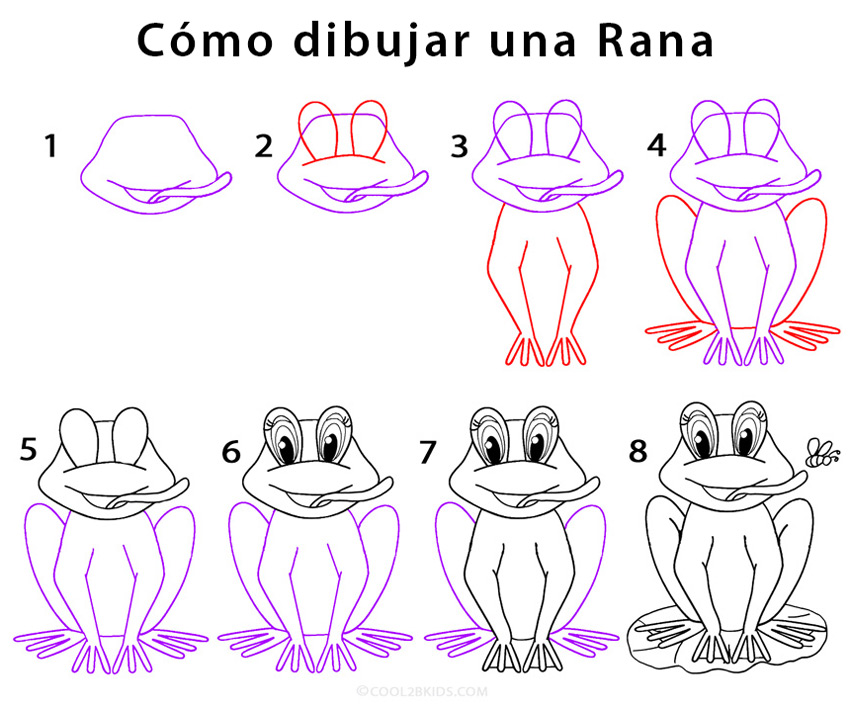 Rana para dibujar dificiles paso a paso Rana para dibujar