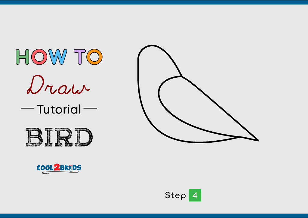 How To Draw A Realistic Bird Step By Step