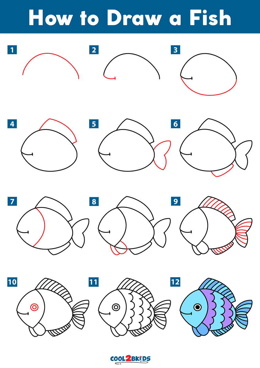 How to Draw a Fish | Cool2bKids
