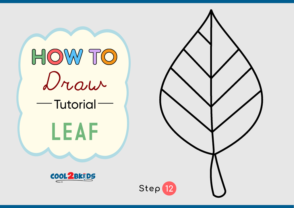How to Draw a Leaf - Cool2bKids
