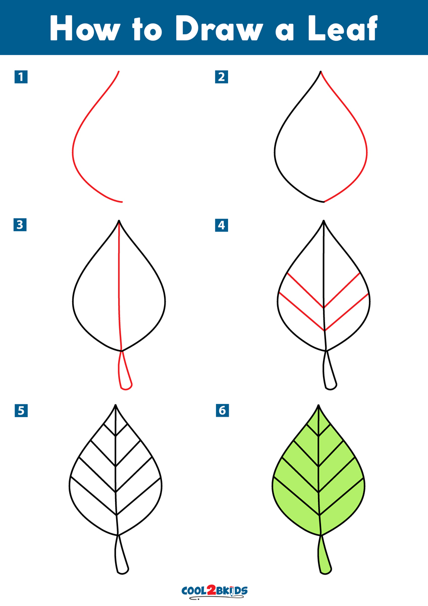 How to Draw a Leaf Step by Step