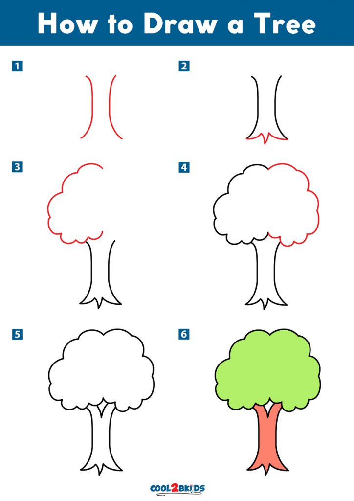 How to Draw a Tree - Cool2bKids