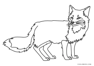 realistic fox coloring pages